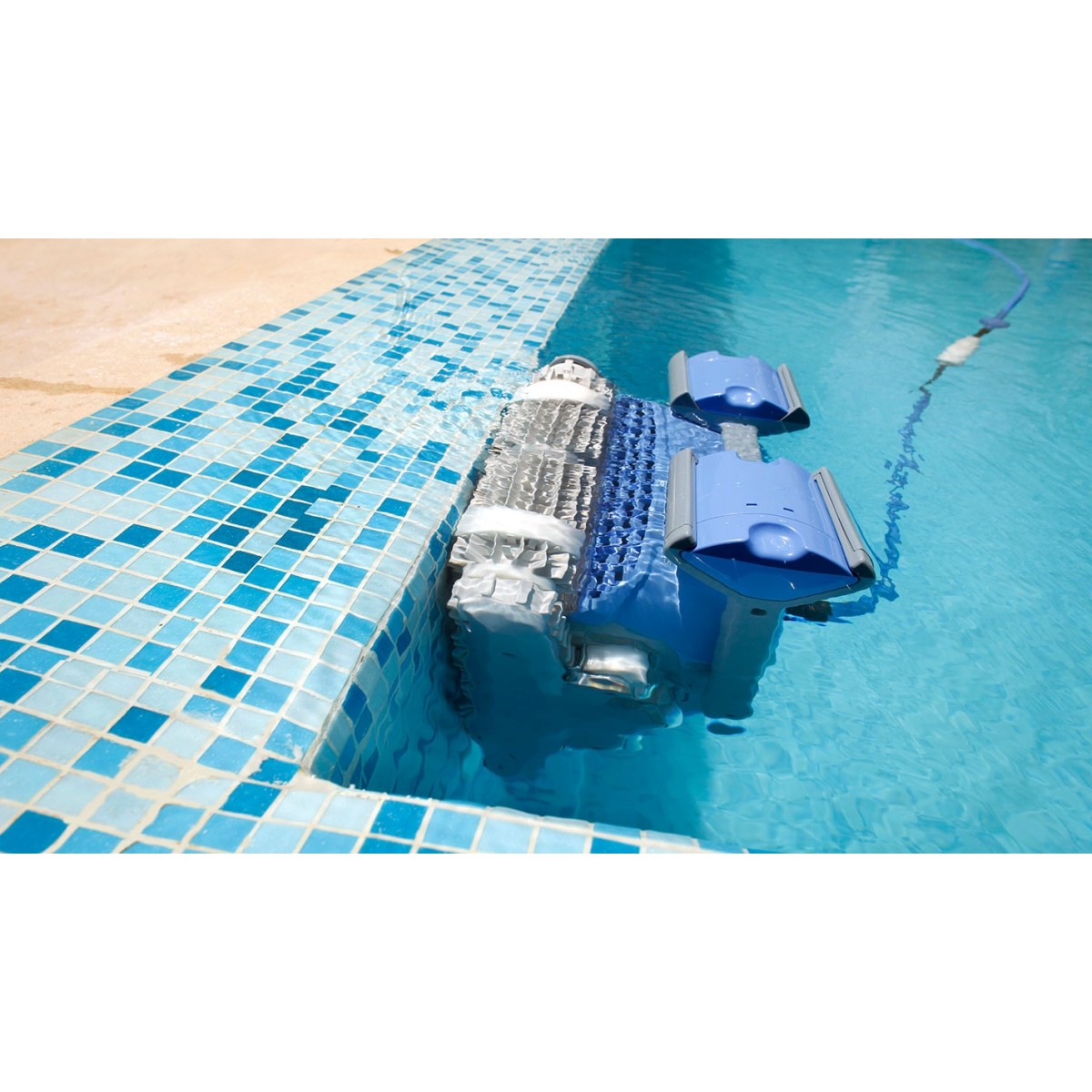 Robot Dolphin M400 Brosses Blanches Shop Piscines Fitness