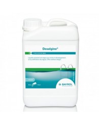 Bayrol Désalgine 6 litres 021041